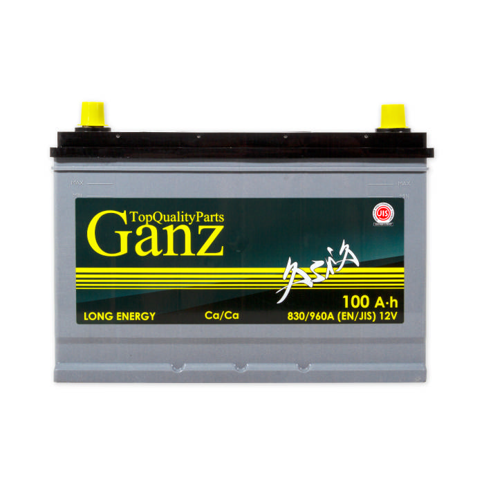 Аккумулятор GANZ 100Ah 830A обр.п Ca/Ca 306x173x220 GAA1000