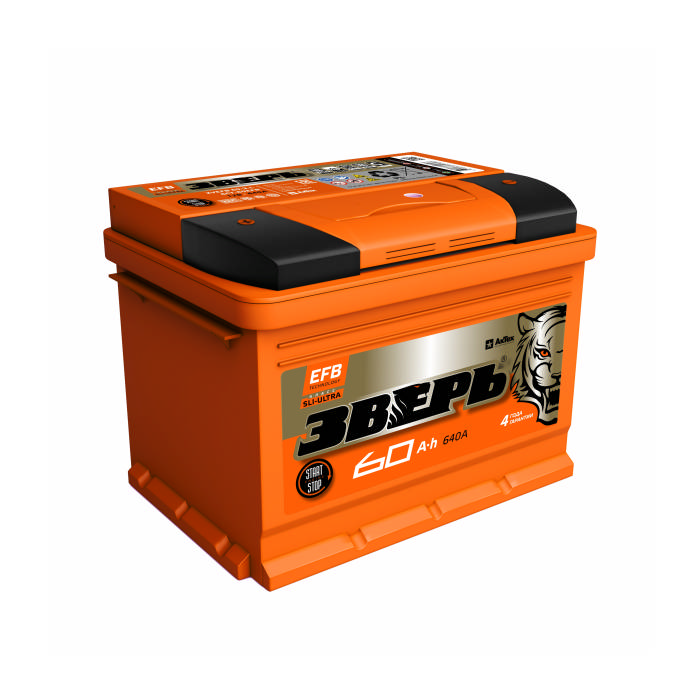 Аккумулятор ЗВЕРЬ EFB 60Ah 640А обр.п Ca/Ca 242х175х190 ZVEFB603R